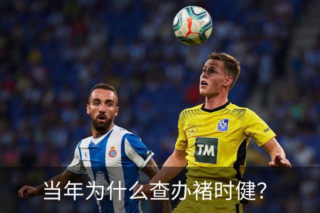 当年为什么查办褚时健？
